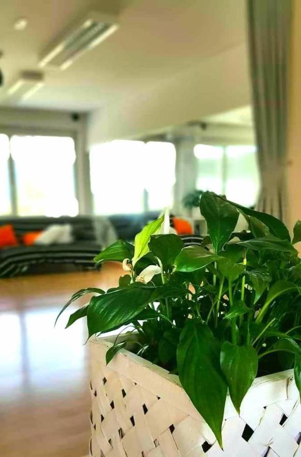 Tej Hostel Любляна Екстериор снимка